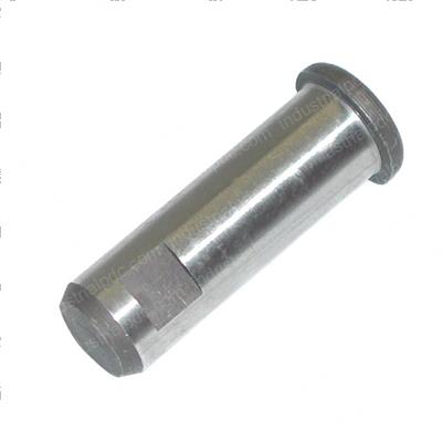 Picture of Pin