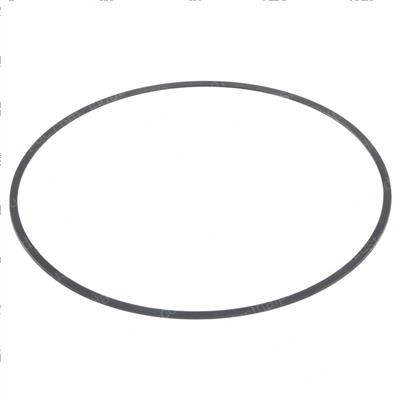 Picture of Ring - Back Up