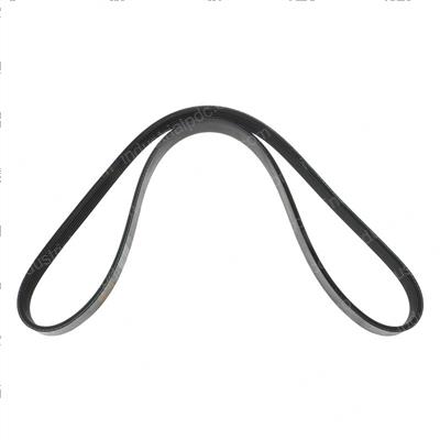 Picture of Belt - Serpentine