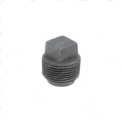 Picture of Plug