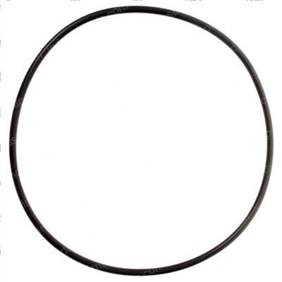 Picture of O-Ring