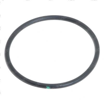 Picture of O Ring