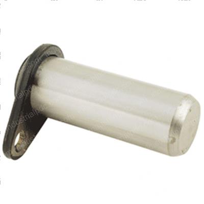 Picture of Pin