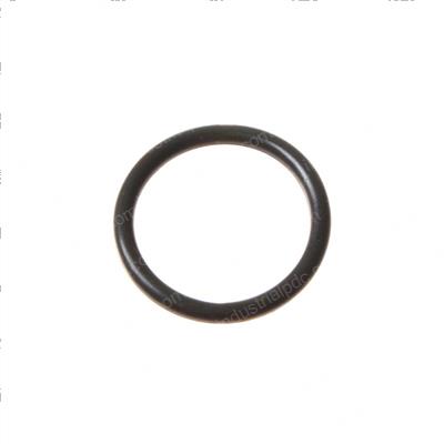 Picture of O Ring Hsg Plug