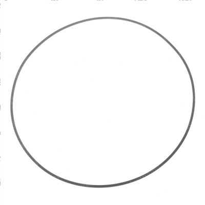 Picture of Ring - Back Up