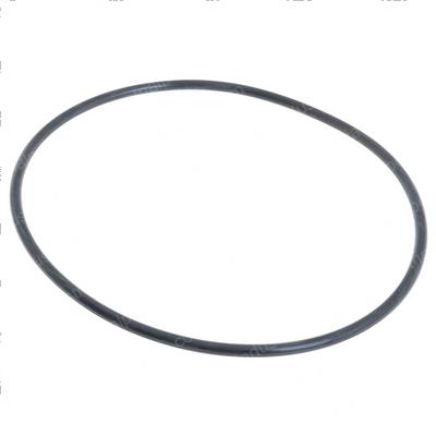 Picture of O-Ring