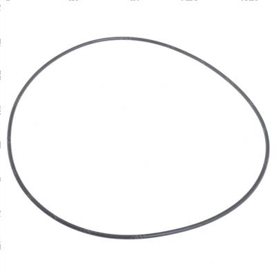 Picture of O-Ring