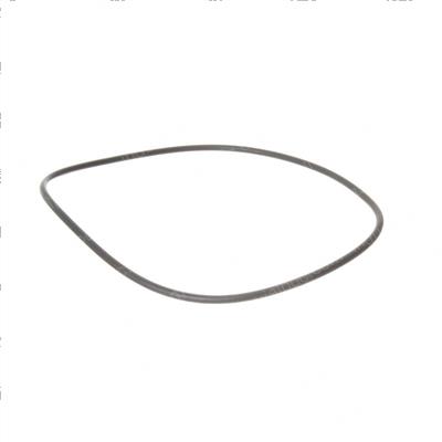 Picture of O-Ring