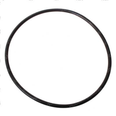 Picture of O-Ring
