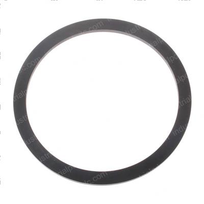 Picture of Seal