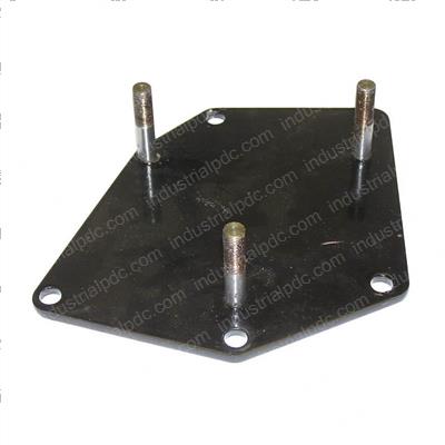 Picture of Plate