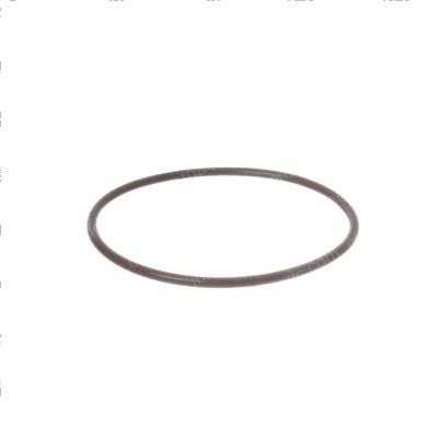Picture of O-Ring