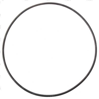Picture of Seal O Ring