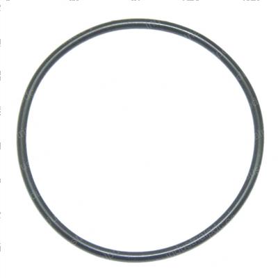 Picture of O-Ring