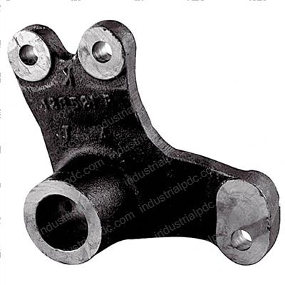 Picture of Spider