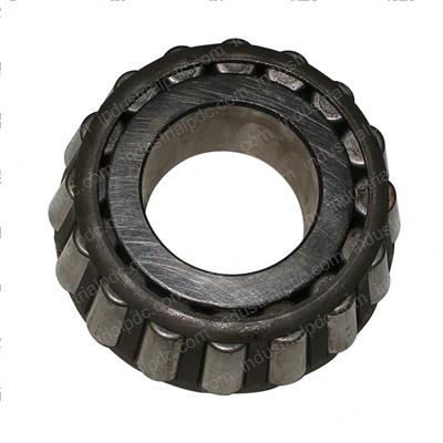 Picture of Cone-Bearing