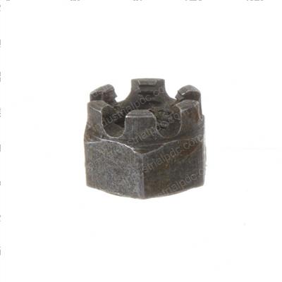Picture of Nut