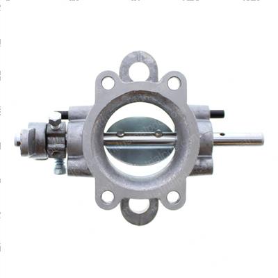 Picture of Body - Throttle