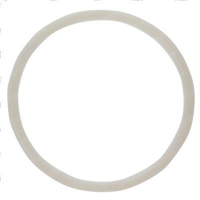 Picture of O-Ring