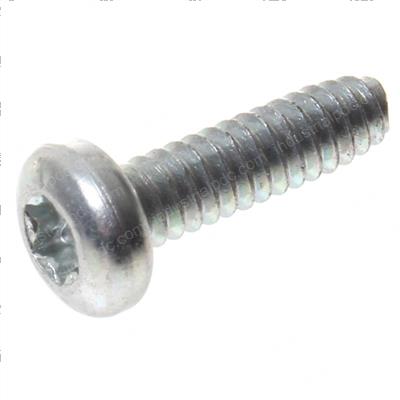 Picture of Screw - Thread Rolling