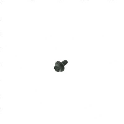 Picture of Screw