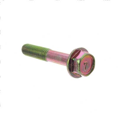 Picture of Bolt