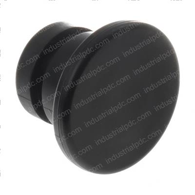 Picture of Plug O-Ring