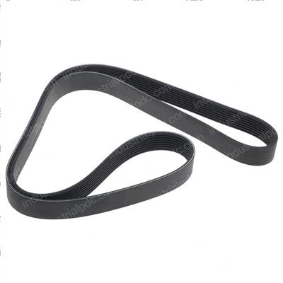 Picture of Belt