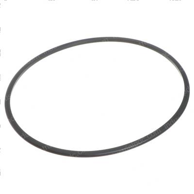 Picture of O-Ring
