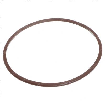 Picture of O-Ring