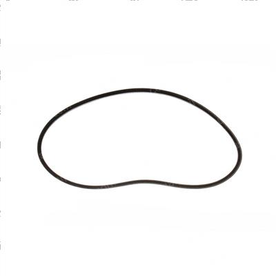 Picture of Belt V [3l] 29.3l