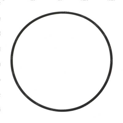 Picture of O Ring