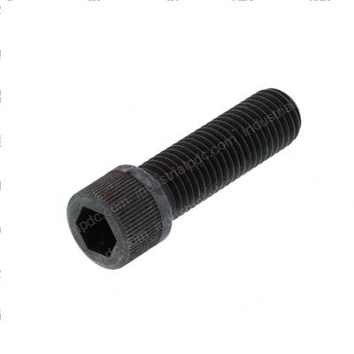 Picture of Bolt