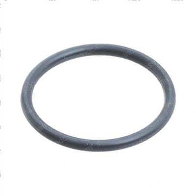 Picture of O-Ring