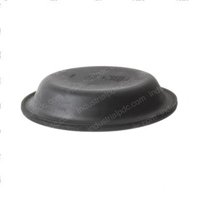 Picture of Diaphragm