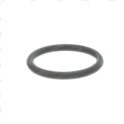 Picture of O-Ring