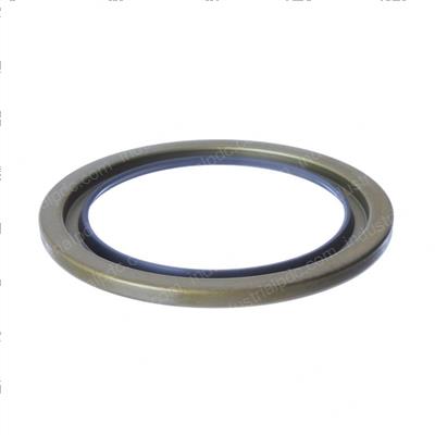 Picture of Seal