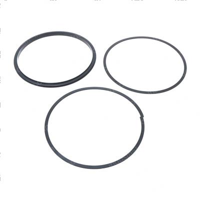 Picture of Seal  Rotary Oil