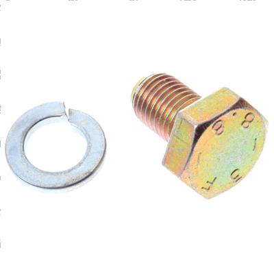 Picture of Bolt