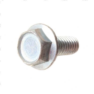 Picture of Scr Hh Flg Lk .31-18x.75