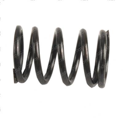 Picture of Spring - Hydraulic Unit