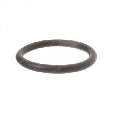 Picture of O-Ring