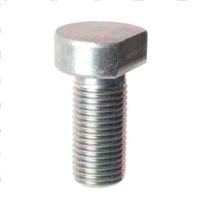 Picture of Bolt
