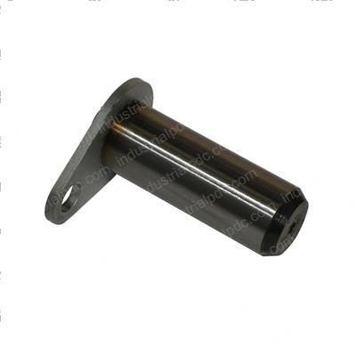 Picture of Pin
