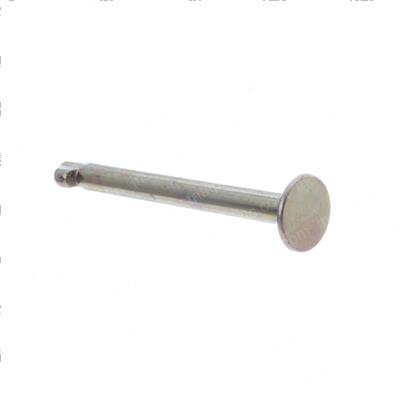 Picture of Pin