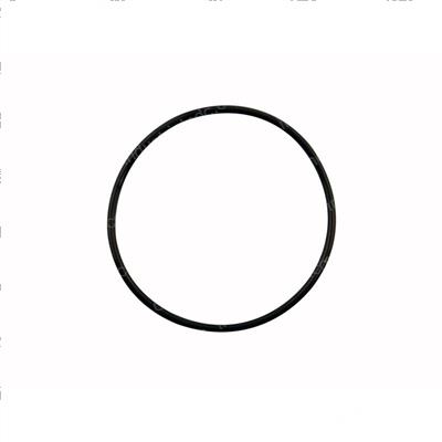 Picture of O-Ring - Strobe
