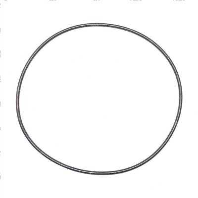 Picture of O-Ring