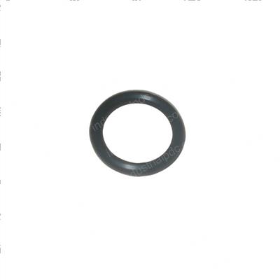 Picture of O-Ring