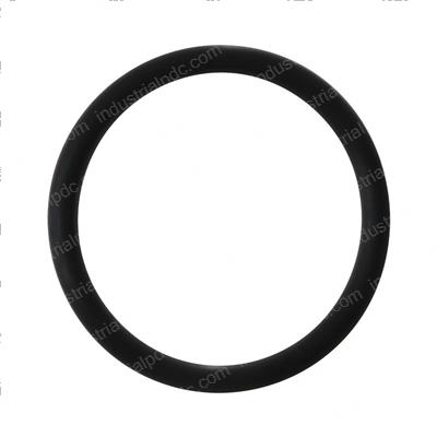 Picture of O-Ring