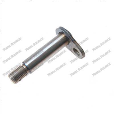 Picture of Pin